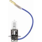 V99-84-0013 Vemo Fernlichtlampe V99-84-0013 V99-84-0013 Vemo Fernlichtlampe V99-84-0013