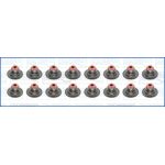 57031200 Ajusa Ventilschaftdichtungssatz 57031200