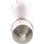 Rohr Glühlampe 12V/3W 8X27mm 10 St 1 987 302 226 Rohr Glühlampe 12V/3W 8X27mm 10 St 1 987 302 226