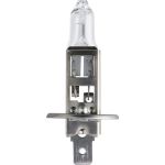 13258MDC1 PHILIPS H1 Halogenlampe MasterDuty 24 V 70 W P14,5s, 1 Stück - 13258MDC1 - l 13258MDC1 PHILIPS H1 Halogenlampe MasterDuty 24 V 70 W P14,5s, 1 Stück - 13258MDC1 - l