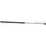 Gasfeder, Motorhaube 871029153