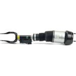 Arnott Luftfederbein VA re AS-3060 Arnott Luftfederbein VA re AS-3060