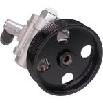 Servopumpe Db Sprin 06 48-0116 Servopumpe Db Sprin 06 48-0116