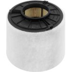 FILTRON Luftfilter AK 376