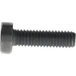 Torx-Zylinderschraube F 00N 202 191 Torx-Zylinderschraube F 00N 202 191