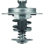 Thermostateinsatz mit Dichtung TX 67 83D Thermostateinsatz mit Dichtung TX 67 83D