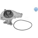 MEYLE Wasserpumpe / Kühlmittelpumpe 3132200025 MEYLE Wasserpumpe / Kühlmittelpumpe 3132200025