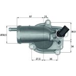 TH 9 87 MAHLE Kühlmittelthermostat TH 9 87, 87 °C – u. a. für Mercedes-Benz C-Klasse (W202), T-Modell (S202) – OE Nummer 611 200 00 15 - l TH 9 87 MAHLE Kühlmittelthermostat TH 9 87, 87 °C – u. a. für Mercedes-Benz C-Klasse (W202), T-Modell (S202) – OE Nummer 611 200 00 15 - l