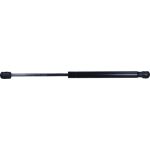 171900 febi Heckklappendämpfer 171900 171900 febi Heckklappendämpfer 171900