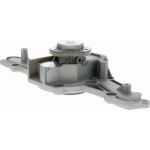 V24-50006 Vaico Wasserpumpe / Kühlmittelpumpe V24-50006 V24-50006 Vaico Wasserpumpe / Kühlmittelpumpe V24-50006