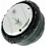Vaico Motorlager V20-1026-1