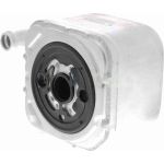 Vemo Motorölkühler V15-60-6014 Vemo Motorölkühler V15-60-6014