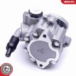 SKV GERMANY Hydraulikpumpe 10SKV256 SKV GERMANY Hydraulikpumpe 10SKV256