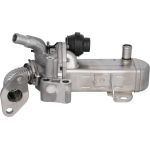 Valeo AGR-Ventil 700452