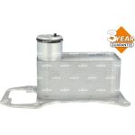 NRF Ölkühler, Motoröl 31775 NRF Ölkühler, Motoröl 31775