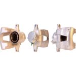 3271900 DRI Bremssattel Vorderachse rechts im Austausch 3271900 3271900 DRI Bremssattel Vorderachse rechts im Austausch 3271900