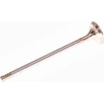 Auslassventil R6820/RCR Auslassventil R6820/RCR
