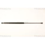 Gasfeder, Koffer-/Laderaum 871025245