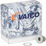 VAICO Verschlußschraube, Ölwanne V30-4144 VAICO Verschlußschraube, Ölwanne V30-4144