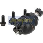 Gelenk - Radaufhängung Mitsubishi P BJ-513 Gelenk - Radaufhängung Mitsubishi P BJ-513
