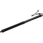 MAXGEAR Gasfeder, Einlegeboden (Koffer-/Laderaum) 12-2553 238840