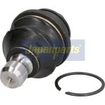 Gelenk - Radaufhängung Nissan P. Navara/Pathfinder 2.5/3.0Dci 05- Lower Le/Pr BJ-136 Gelenk - Radaufhängung Nissan P. Navara/Pathfinder 2.5/3.0Dci 05- Lower Le/Pr BJ-136