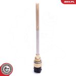 ESEN SKV Sensor, Motorölstand 17SKV772