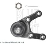 BluePrint Traggelenk ADG08655 BluePrint Traggelenk ADG08655