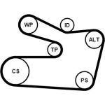 Continental CTAM Timing-Kit 6PK1733WP1 Continental CTAM Timing-Kit 6PK1733WP1