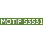 53531 MoTip Autolack Acryl Kompakt grün metallic 400ml 53531 MoTip Autolack Acryl Kompakt grün metallic 400ml