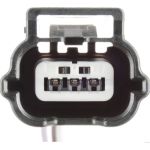 51277445 Herth+Buss Elparts Adapterkabel Schlussleuchte 51277445 51277445 Herth+Buss Elparts Adapterkabel Schlussleuchte 51277445