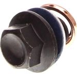 Verschlussschraube, Ölwanne DRM01361 Verschlussschraube, Ölwanne DRM01361