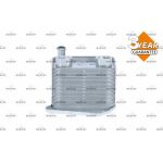 NRF Ölkühler, Motoröl 31234 NRF Ölkühler, Motoröl 31234