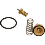Thermostateinsatz mit Dichtung TX 181 105D Thermostateinsatz mit Dichtung TX 181 105D