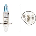 HELLA Glühlampe, Nebelscheinwerfer 8GH 223 498-011 HELLA Glühlampe, Nebelscheinwerfer 8GH 223 498-011