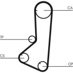 Continental CTAM Timing-Kit CT801K1 Continental CTAM Timing-Kit CT801K1