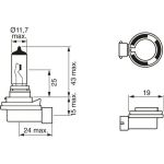 H8 12V 35W PURE LIGHT 1987302081 H8 12V 35W PURE LIGHT 1987302081