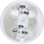 Glühlampe (Box 1 Stück) W21/5W 12V 5W Pures Licht 1 987 301 079 Glühlampe (Box 1 Stück) W21/5W 12V 5W Pures Licht 1 987 301 079