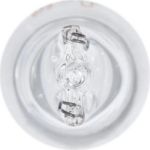 1987302205 Bosch W16W 12V 16W PURE LIGHT 1987302205 1987302205 Bosch W16W 12V 16W PURE LIGHT 1987302205