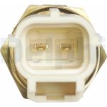 Delphi Kühlmitteltemperatursensor TS10289 Delphi Kühlmitteltemperatursensor TS10289