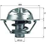 Thermostateinsatz mit Dichtung TX 118 82D Thermostateinsatz mit Dichtung TX 118 82D