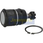 Gelenk - Radaufhängung Honda P. Civic 91-02 Le/Pr BJ-416 Gelenk - Radaufhängung Honda P. Civic 91-02 Le/Pr BJ-416