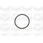 GRAF Wasserpumpe PA654 GRAF Wasserpumpe PA654