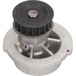 PA 442 Wasserpumpe DW-1002 PA 442 Wasserpumpe DW-1002