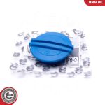 61SKV010 ESEN SKV Verschlußdeckel, Kühlmittelbehälter 61SKV010 61SKV010 ESEN SKV Verschlußdeckel, Kühlmittelbehälter 61SKV010