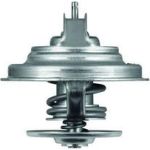 Thermostateinsatz mit Dichtung TX 31 92D S Thermostateinsatz mit Dichtung TX 31 92D S