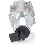 NISSENS Agr-Ventil 98193 NISSENS Agr-Ventil 98193
