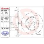 Bremsscheibe HA 09.C929.11
