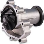 HEPU Wasserpumpe P161 HEPU Wasserpumpe P161