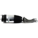 Arnott Luftfederbein VA li/re AS-3176